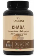 Чага екстракт 250mg - 366 таблетки | Bandini Pharma - Италия