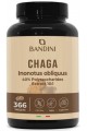 Чага екстракт 250mg - 366 таблетки |Bandini Pharma - Италия