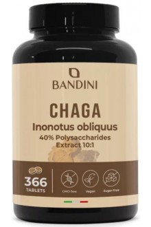 Чага екстракт 250mg - 366 таблетки |Bandini Pharma - Италия