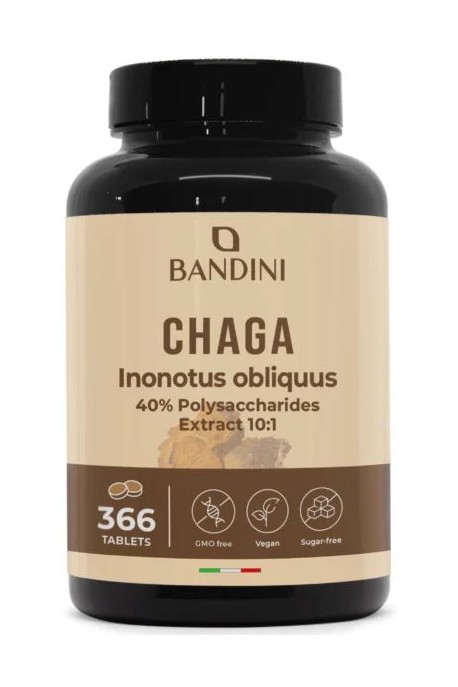 Чага екстракт 250mg - 366 таблетки |Bandini Pharma - Италия
