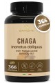 Чага екстракт 250mg - 366 таблетки |Bandini Pharma - Италия