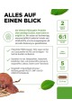 Гъби Рейши екстракт 650mg - 270 капсули | Vit4ever - Германия