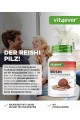 Гъби Рейши екстракт 650mg - 270 капсули | Vit4ever - Германия