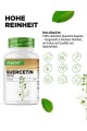 Кверцетин 500mg - 180 капсули | Vit4ever