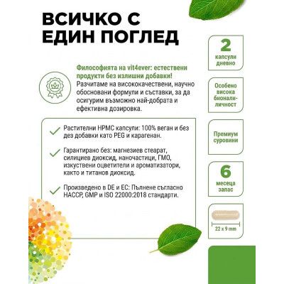 Мултивитамини Интенсо + Коензим Q10 - 365 капсули