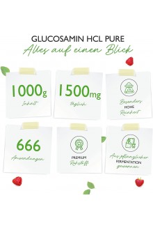 Глюкозамин хидрохлорид на прах, 1000g | Vit4ever - Германия