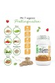 Веган протеин със 7 съставки (бисквитки и сметана) - 1 кг | Vit4ever - Германия