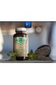 Бакопа Мониери 10:1 екстракт 500ng - 120 капсули | Focus Supplements - UK