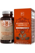 Босвелия (индийски тамян) 2000mg - 240 капсули | Focus Supplements - UK