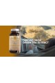 Л-Теанин (екстракт от зелен чай), 150mg - 90 капсули | Focus Supplements - UK