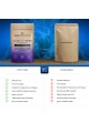 Херициум лъвска грива 2000mg (50:1 екстракт) - 120 таблетки | Focus Supplements - UK