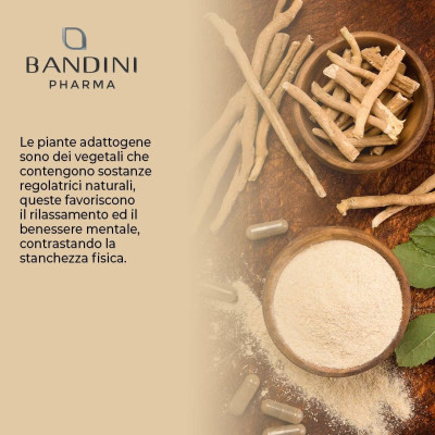 Ашваганда (KSM-66) 500mg - 60 капсули | Bandini Pharma - Италия