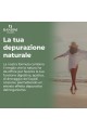 Detox Slim - 60 капсули | Bandini Pharma - Италия