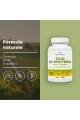 Масло от вечерна иглика 500mg - 200 меки капсули | Bandini Pharma - Италия