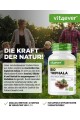 Трифала 750mg (веган, аюрведа) - 365 капсули | Vit4ever - Германия