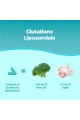L-глутатион (Setria®) 250mg - 60 капсули | Bandini Pharma - Италия
