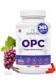 OPC екстракт от гроздови семки с Витамин C - 365 капсули | Bandini Pharma - Италия