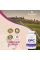 OPC екстракт от гроздови семки с Витамин C - 200 капсули | Bandini Pharma - Италия