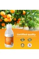 Липозомен Витамин Ц / Liposomal Vitamin C, 1000mg - 250ml | Bandini Pharma - Италия