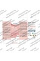 Липозомен лактоферин 200mg - 250ml | Bandini Pharma - Италия