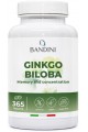Гинко билоба екстракт 120мг - 365 таблетки | Bandini Pharma - Италия