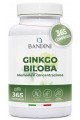 Гинко билоба екстракт 120мг - 365 таблетки | Bandini Pharma - Италия