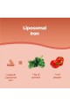 Липозомно желязо 30mg с комплекс от витамини - 60 капсули | Bandini Pharma - Италия